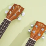 Best Ukulele Under 50 For Beginners